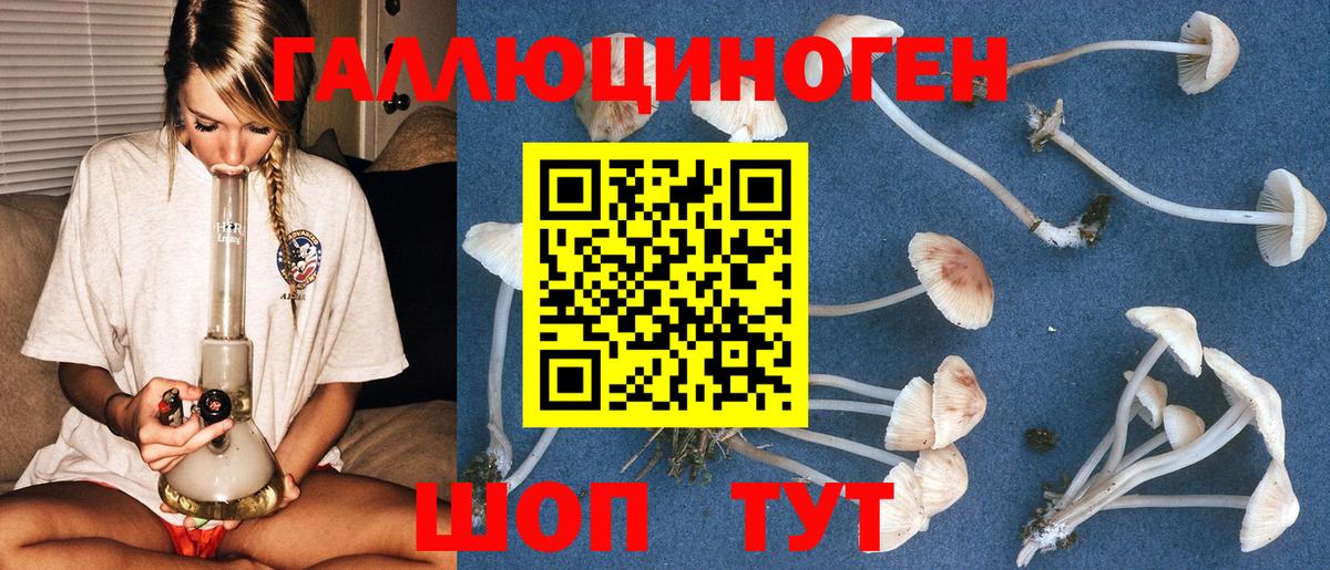 Добрянка  Галлюциногенные грибы Cubensis  Вход с VPN 